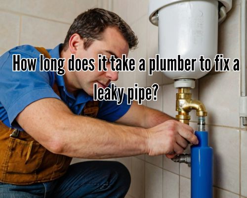 Pipe leak repair by a professional plumber.